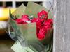 Young lovers were victims of ‘horrific’ Elvina Bay tragedy