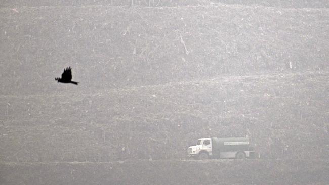 A rubbish truck rides across the Ghazipur landfill amid smoggy conditions in New Delhi. Picture: Arun Sankar/AFP