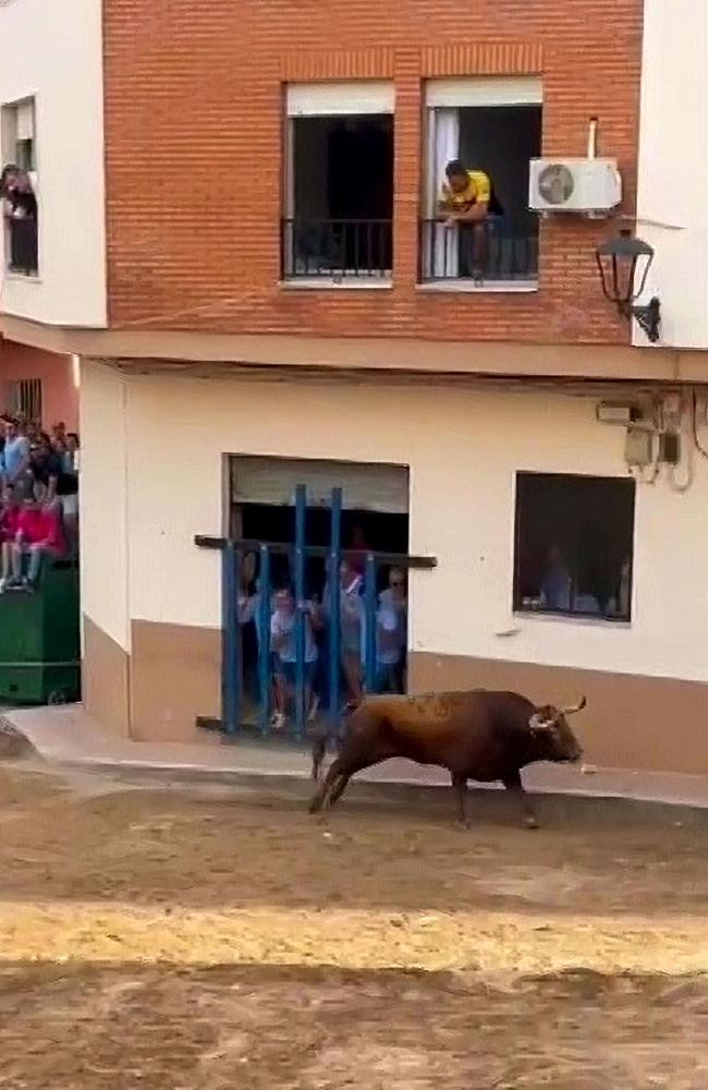 The bull just been released from its pen when it took the local man by surprise. Picture: Jam Press