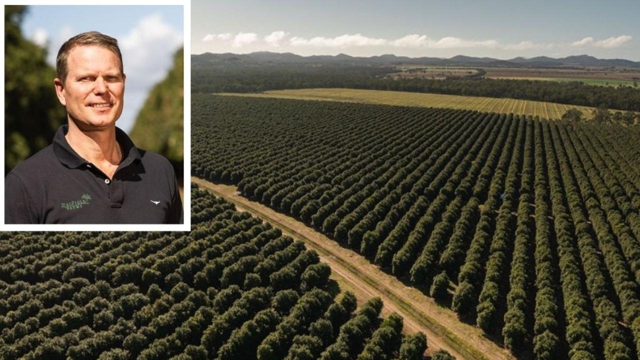 Macadamia nut farmer Henrik Christiansen, who waters his 120,000 macadamia trees on 340ha of land in South Yaamba, said the impact of Rockhampton Regional Council's new pricing structure on his bottom line is significant.