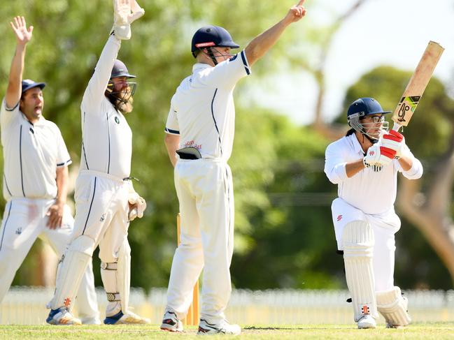 Aberfeldie appeal for the wicket of Callan Tishler of Craigieburn during the Victorian Turf Cricket Association match between Aberfeldie and Craigieburn at Clifton Park, on February 24, 2024, in Melbourne, Australia. (Photo by Josh Chadwick)