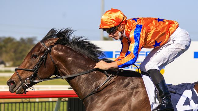 Smart New Zealand mare Entriviere can make it back-to-back wins when she contests the Golden Pendant. Picture: Getty Images