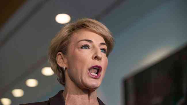 Shadow workplace relations minister Michaelia Cash has hit out at Labor's IR bill.
Picture: NCA NewsWire, Gary Ramage.