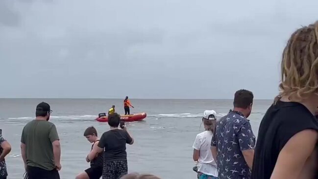 Hervey Bay stranded whale swims off