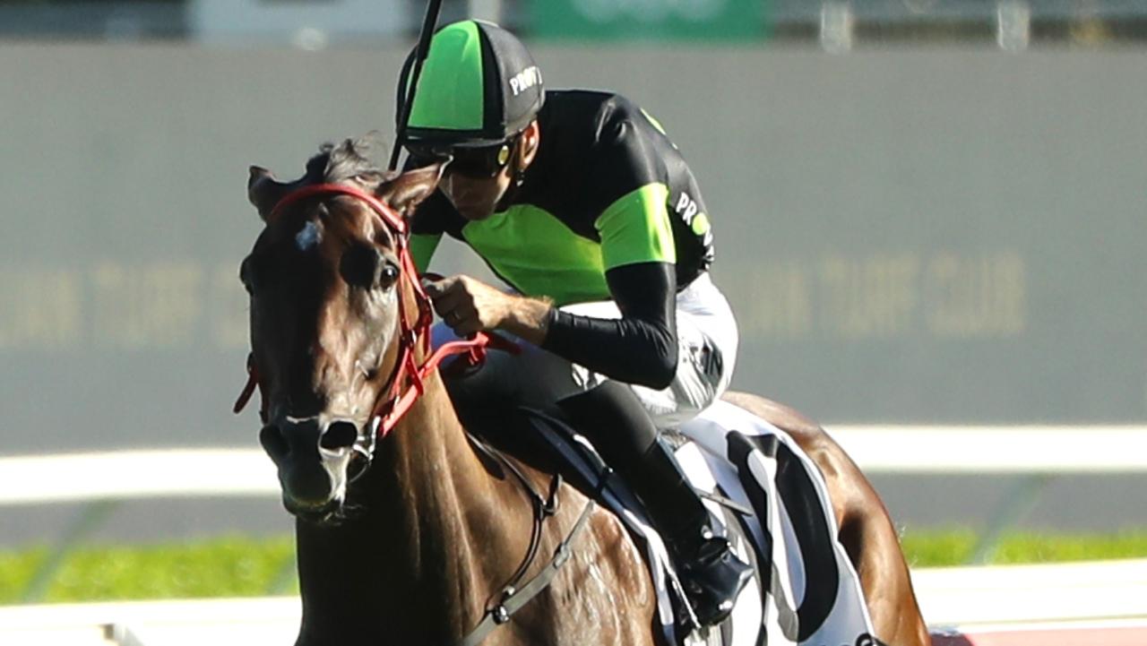 Reigning The Everest champ Think About It looked terrific in a Randwick trial behind Mazu and Stefi Magnetica on Monday. Picture: Jeremy Ng / Getty Images