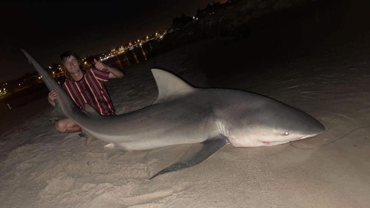 Kai Boyle with the massive bull shark he caught. Picture: Facebook