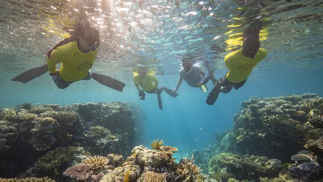 Master Reef Guides on the Great Barrier Reef. Images: TTNQ