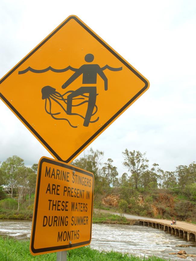 Stinger warning signs are in place at the old Calliope River bridge and camping grounds where 10 year-old Rachel Shardlow was stung by a box jellyfish just before Christmas in 2010. Pic: Murray Ware.