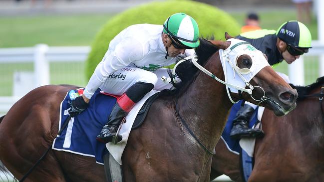 Our Benefactor is coming off a sixth-placed finish in the Randwick Guineas. Picture: Grant Peters/Trackside Photography