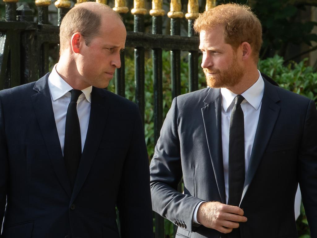 Prince Harry did not see Prince William when he flew to the UK to see King Charles after his cancer diagnosis. Picture: Getty Images