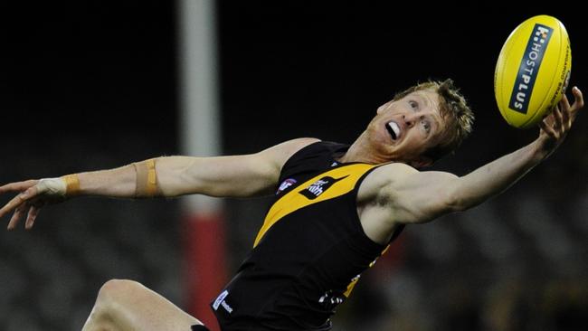 Ex-Tiger Dan Connors has joined St Kilda City.