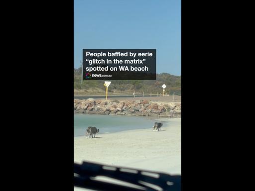 “Glitch in the matrix” spotted on WA beach