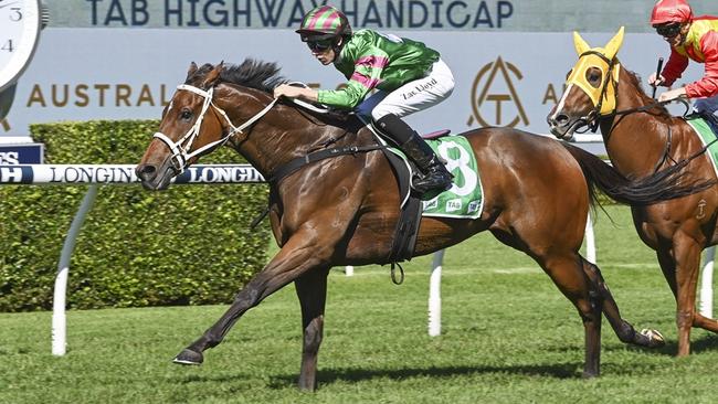 Preemptory, pictured winning a Highway Handicap at Randwick in April last year, is one of Shayne O'Cass's best bets of the day at Grafton on Monday. Picture: Bradley Photos