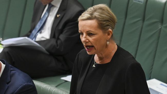 Environment Minister Sussan Ley. Picture: NCA NewsWire/Martin Ollman