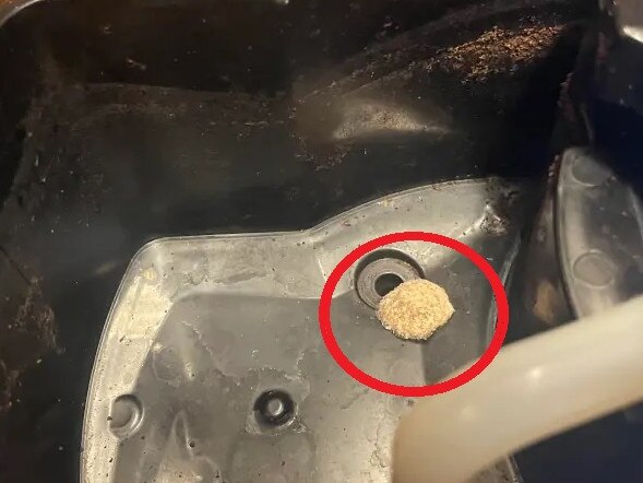 The gross find in the coffee machine.