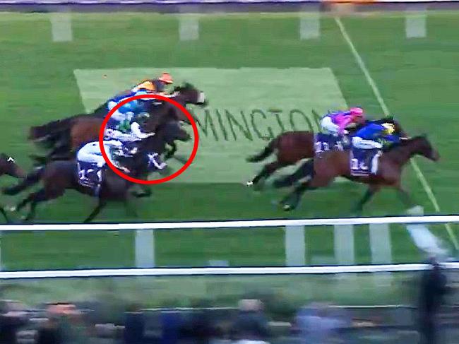 Poison Chalice (circled) was an eye-catcher in the Listed Straight Six at Flemington on Saturday.