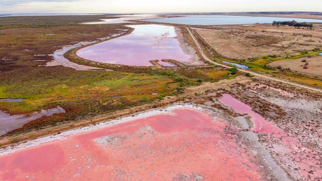 Drone footage of dead and dying mangroves and saltmarsh at St Kilda, where super salty water can be seen in evaporation ponds and some brine is crystallising to white salt. Picture: Alex Mausolf