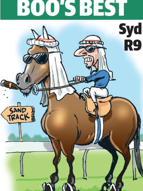 Boo Bailey's cartoon tip for Warwick Farm.