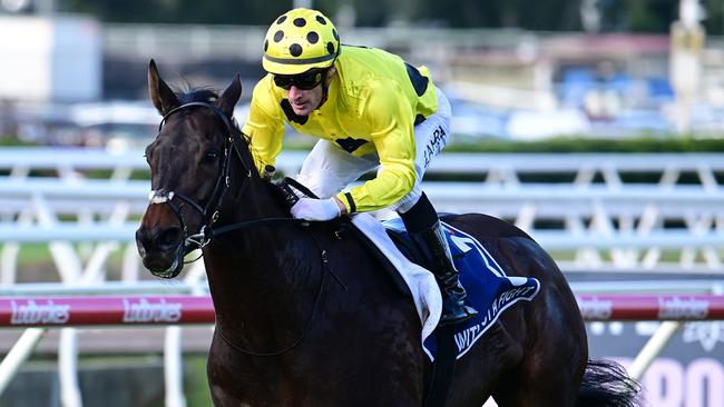 Caulfield Cup runner Without A Fight. Picture: Grant Peters - Trackside Photography.