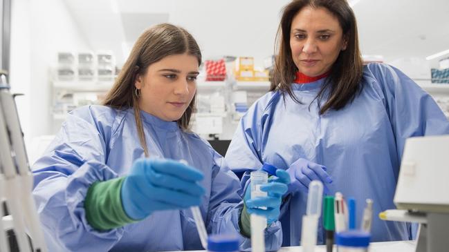 Cartheric researchers Liz Aliotta and Maree Hammett at work in the Melbourne laboratory. Image: Supplied