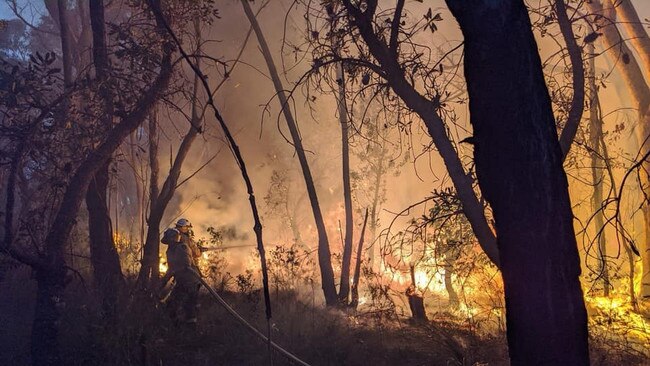 Engadine RFS fireys fight a bushfire in the Royal National Park near Loftus on November 12, 2019. Picture: Engadine Bush Fire Bridgade