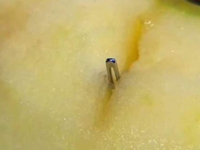 A contaminated apple with pin placed inside. Picture: Seven News