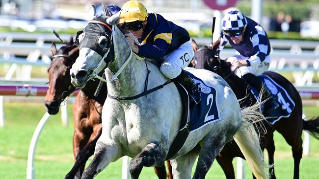 Luncies breaks through for his first win in more than two years under jockey Tim Clark. Picture: Grant Peters - Trackside Photography