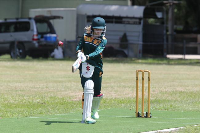 60+ PHOTOS: Gold Coast Cricket Taper Premier League and Girls Hardball ...