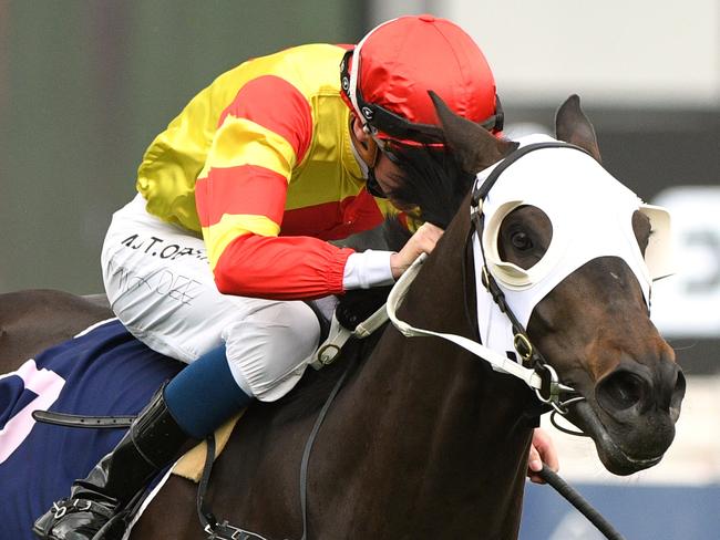 Jockey Michael Dee rides Savaheat to victory in race 1, the BM90 Hcp, during Oaks Day at Flemington Racecourse in Melbourne, Thursday, November 7, 2019. (AAP Image/Vince Caligiuri) NO ARCHIVING, EDITORIAL USE ONLY