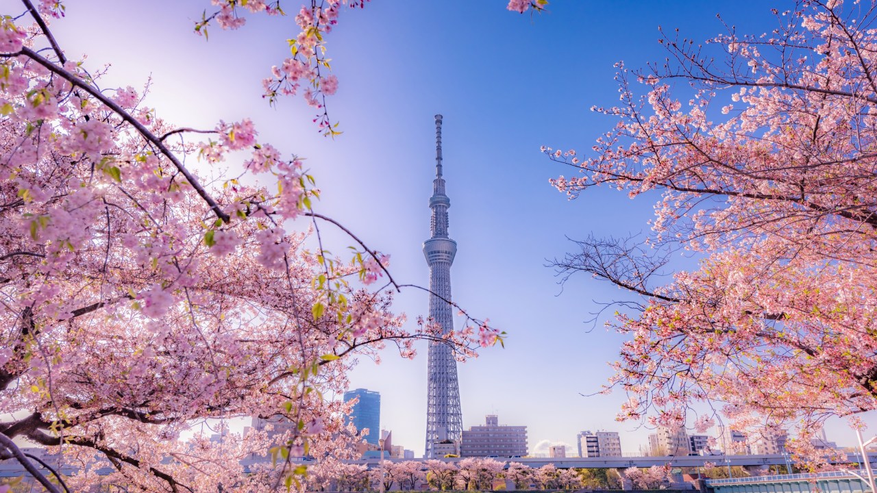 If Japan is more you speed, bounce over to the Jetstar sale.