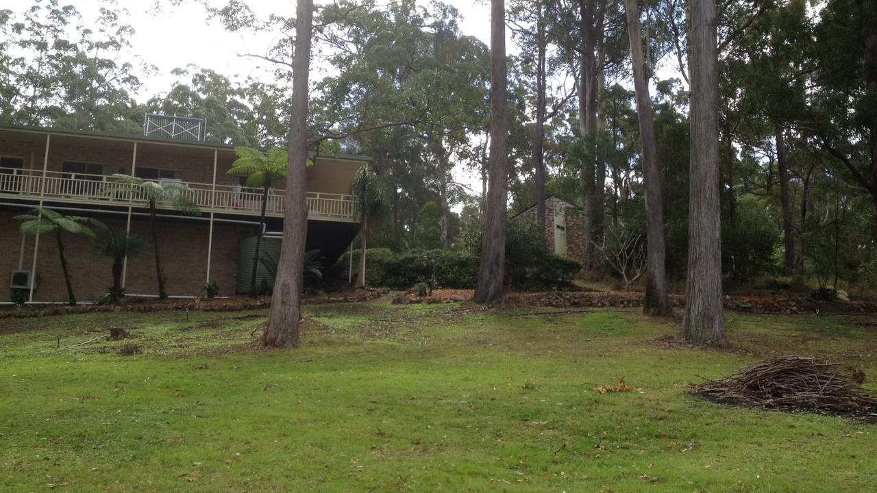 The yard and trees surrounding the Kendall home.