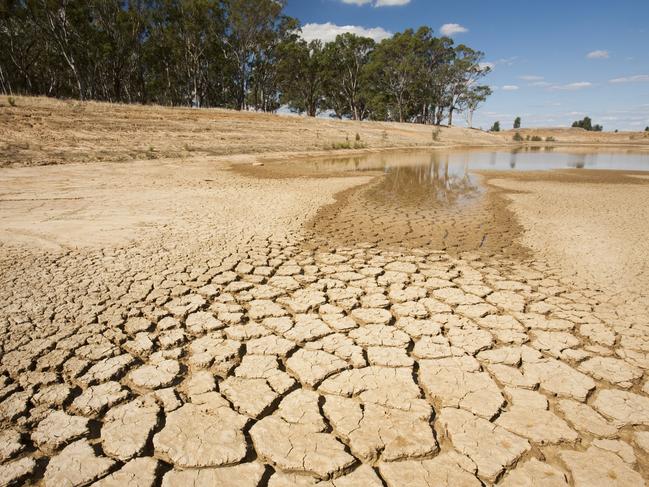 A farmers almost-dried up watering hole on a property near Shepparton.