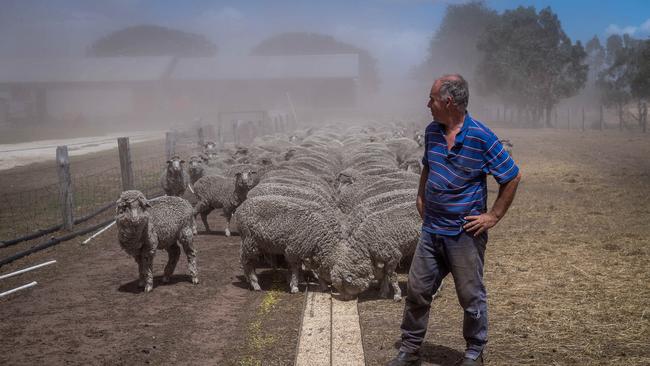 Steve Harrison has been forced to hand feed his sheep.