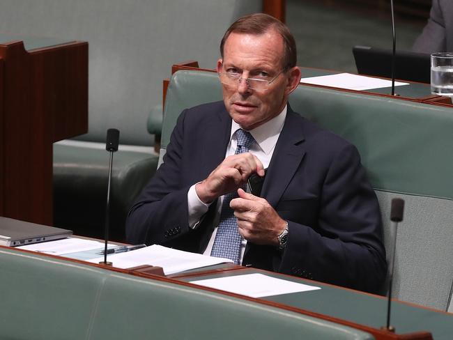 Thrilled to be here. Tony Abbott on the back bench in the House of Representatives. Picture: Kym Smith