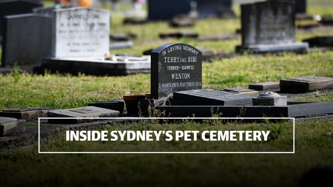 Inside Sydney's Pet Cemetery