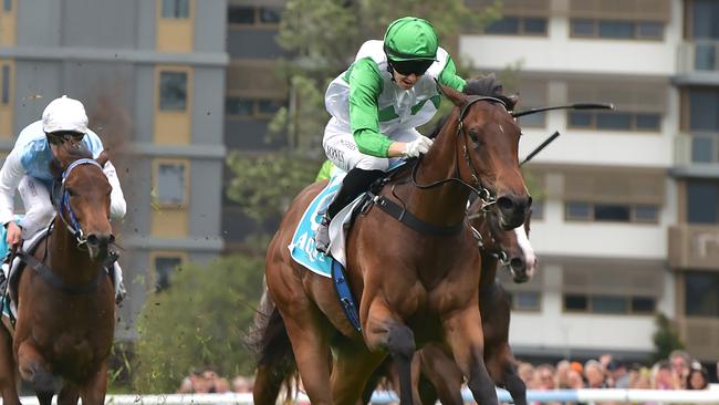 Tony Gollan-trained filly Hi Barbie winning on debut last November. Picture: Grant Peters/Trackside Photography