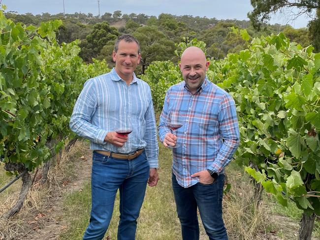 Italian varietals on the rise tips Sunshine Coast wine guru