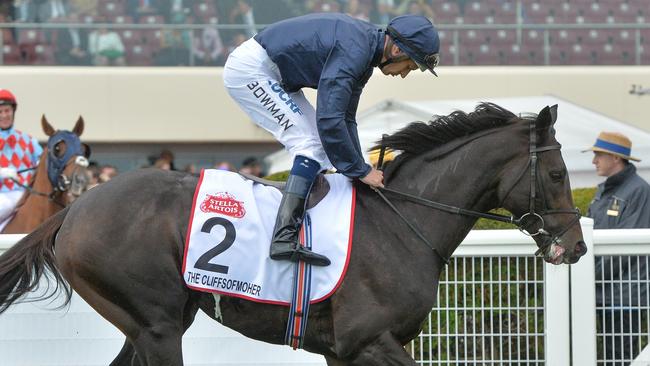 The Cliffsofmoher broke down in the 2018 Melbourne Cup and was euthanised.