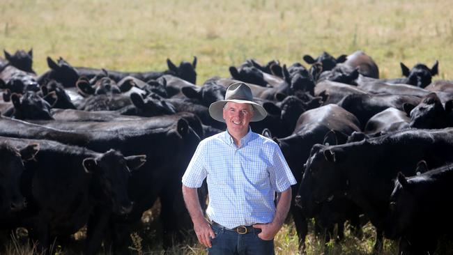 Colin Henke from Lakala Pastoral Company pictured at his Mumbannar property. Picture: Yuri Kouzmin