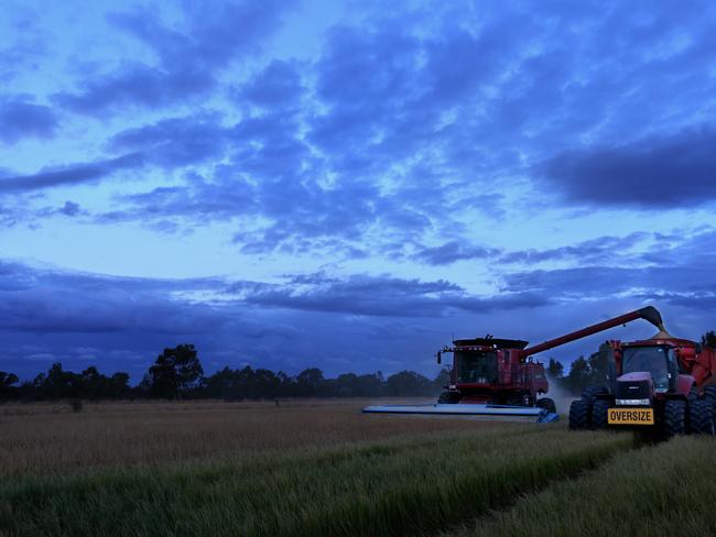 Rice harvest in off and running in the riverina. Michael Chalmers will push through the dark on his Niemur, NSW farm to harvest his rice cropPicture: ANDY ROGERS