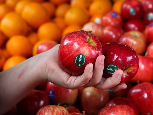 Lunches are becoming more and more healthy. Picture: NCA Newswire / Gaye Gerard.