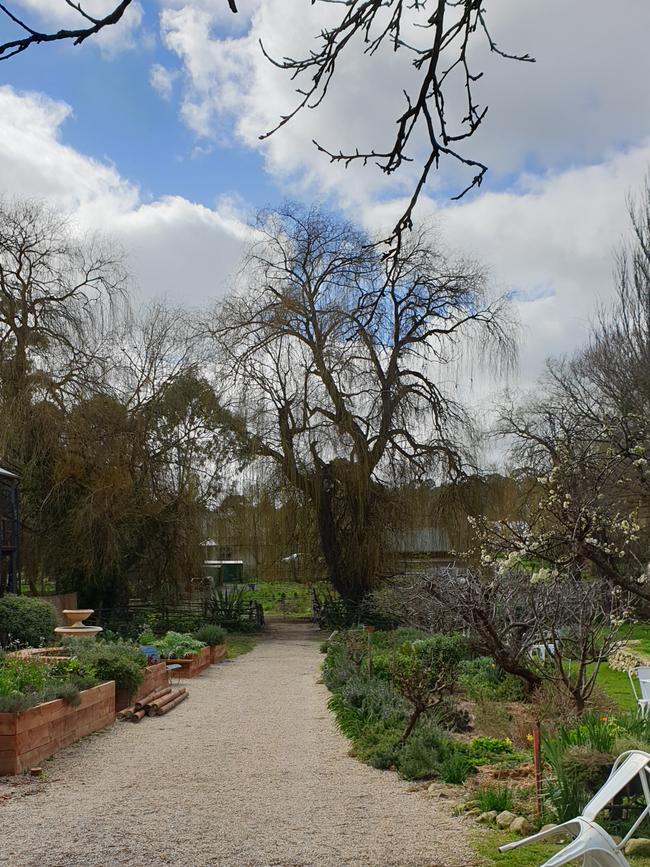 The communal garden behind the Seasonal Garden Cafe at Hahndorf. Picture: Renato Castello