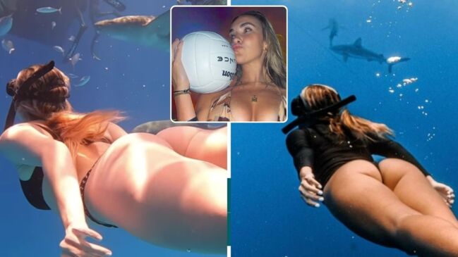 World’s sexiest volleyball model fearlessly swims with sharks