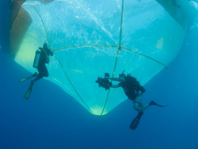 Professor Peter Harrison from Southern Cross University and Dr Katie Chartrand from James Cook University assemble the octagon larval pool. Picture: Juergen Freund