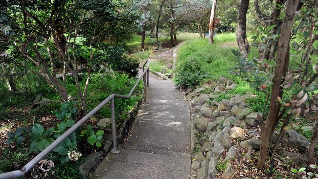 The botanic park section of Ivanhoe Park would be improved. Picture: Manly Daily