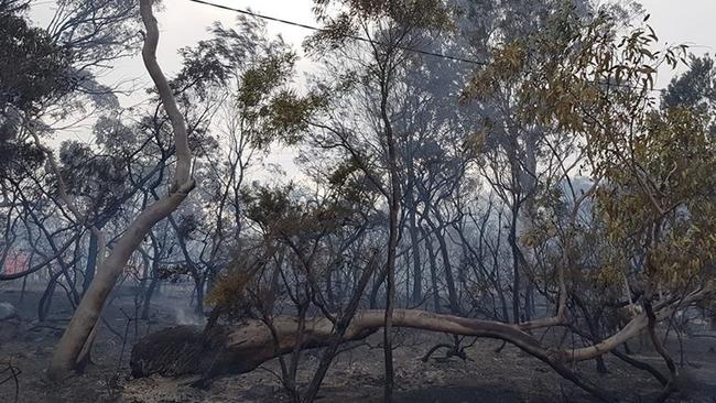 Residents found out days after the fire they weren’t warned. Picture: Supplied/Glenorie Rural Fire Service