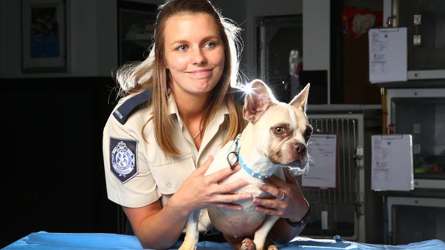 RSPCA Metro Inspectors Samantha Robinson with rescued French Bulldog 'Pizza'. Picture: NIGEL HALLETT