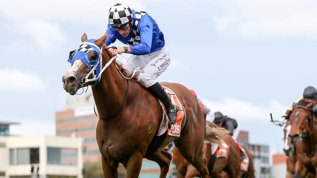 Lounge Bar Rubi should be a significant improver when he has his second-up run at Sandown on Saturday. Picture: Racing Photos via Getty Images.