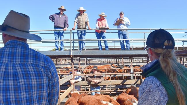 Dalby’s beef industry are desperately looking for workers, and have joined an initiative to entice more people into their workforce. Picture: File