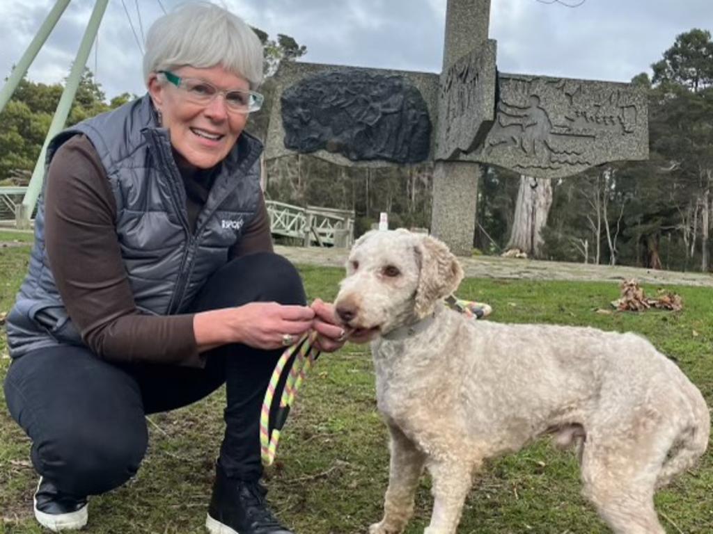 RSPCA Tasmania CEO Andrea Dawkins with one of the rescued labradoodles. Picture: Supplied.